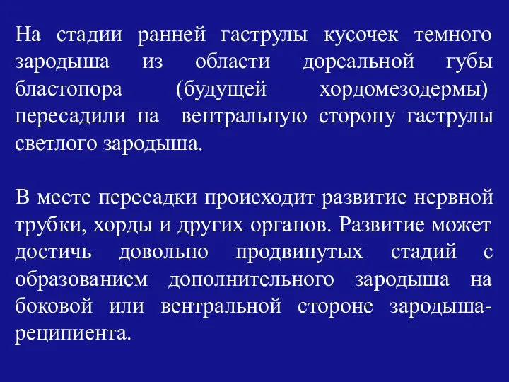 На стадии ранней гаструлы кусочек темного зародыша из области дорсальной губы