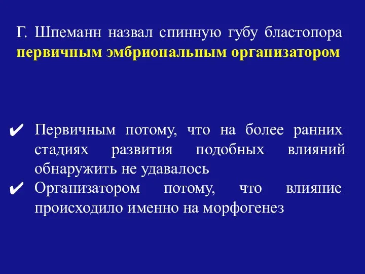 Г. Шпеманн назвал спинную губу бластопора первичным эмбриональным организатором Первичным потому,