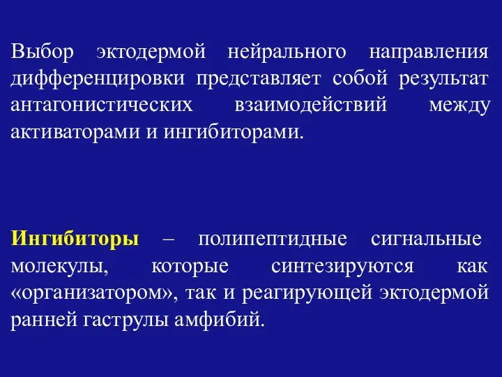 Выбор эктодермой нейрального направления дифференцировки представляет собой результат антагонистических взаимодействий между