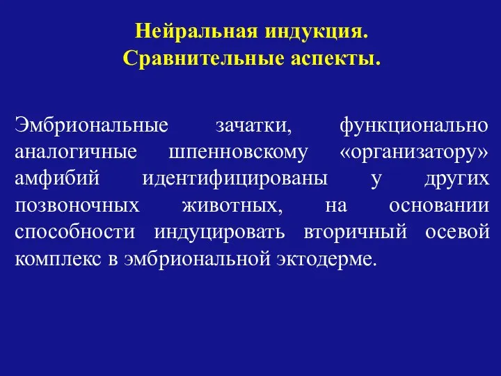 Эмбриональные зачатки, функционально аналогичные шпенновскому «организатору» амфибий идентифицированы у других позвоночных