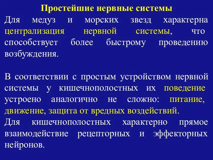 Простейшие нервные системы Для медуз и морских звезд характерна централизация нервной