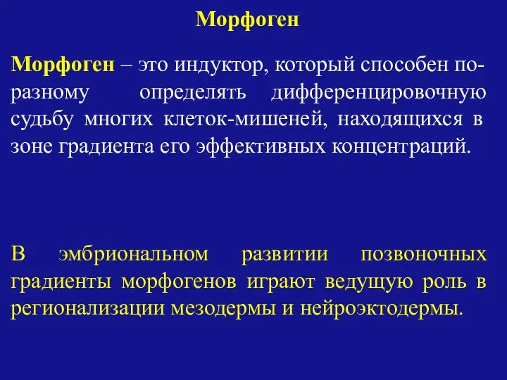 Морфоген Морфоген – это индуктор, который способен по-разному определять дифференцировочную судьбу