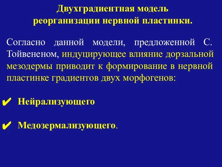 Согласно данной модели, предложенной С.Тойвененом, индуцирующее влияние дорзальной мезодермы приводит к