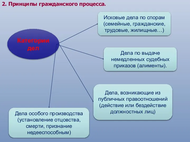 2. Принципы гражданского процесса. Категории дел