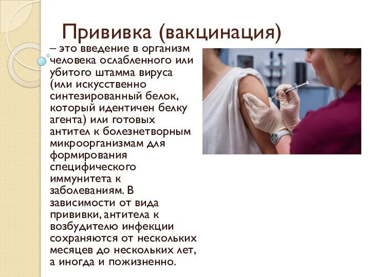 Прививка (вакцинация) – это введение в организм человека ослабленного или убитого