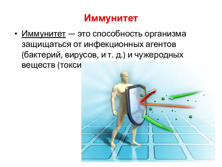 Иммунитет Иммунитет — это способность организма защищаться от инфекционных агентов (бактерий,