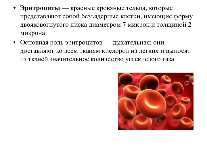 Эритроциты — красные кровяные тельца, которые представляют собой безъядерные клетки, имеющие