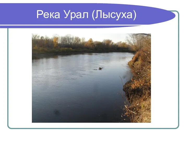 Река Урал (Лысуха)