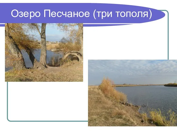 Озеро Песчаное (три тополя)