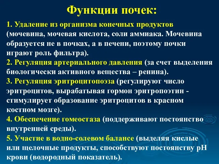 Функции почек: 1. Удаление из организма конечных продуктов (мочевина, мочевая кислота,