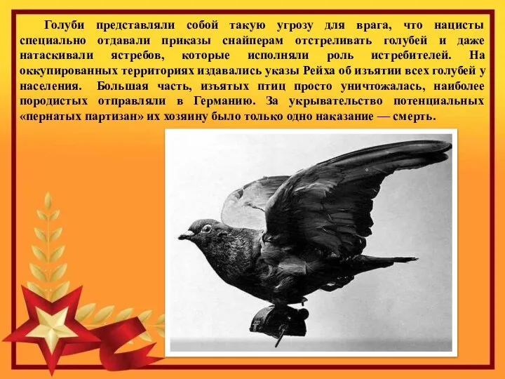 Голуби представляли собой такую угрозу для врага, что нацисты специально отдавали