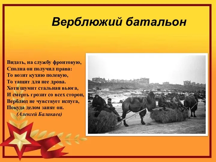 Верблюжий батальон Видать, на службу фронтовую, Сполна он получил права: То