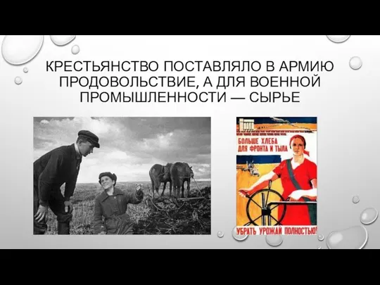 КРЕСТЬЯНСТВО ПОСТАВЛЯЛО В АРМИЮ ПРОДОВОЛЬСТВИЕ, А ДЛЯ ВОЕННОЙ ПРОМЫШЛЕННОСТИ — СЫРЬЕ