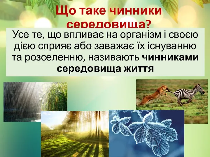 Що таке чинники середовища? Усе те, що впливає на організм і