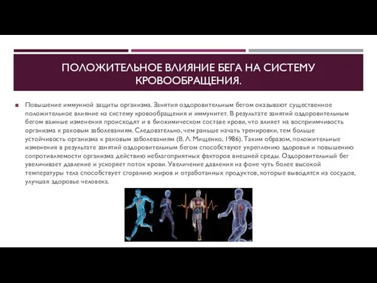 ПОЛОЖИТЕЛЬНОЕ ВЛИЯНИЕ БЕГА НА СИСТЕМУ КРОВООБРАЩЕНИЯ. Повышение иммунной защиты организма. Занятия