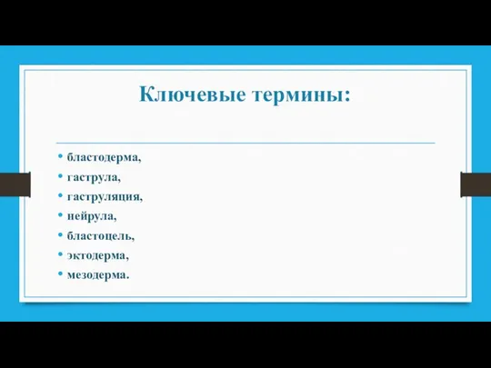 Ключевые термины: бластодерма, гаструла, гаструляция, нейрула, бластоцель, эктодерма, мезодерма.