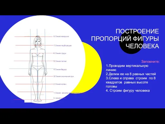 ПОСТРОЕНИЕ ПРОПОРЦИЙ ФИГУРЫ ЧЕЛОВЕКА Запомните: 1.Проводим вертикальную линию 2.Делим ее на