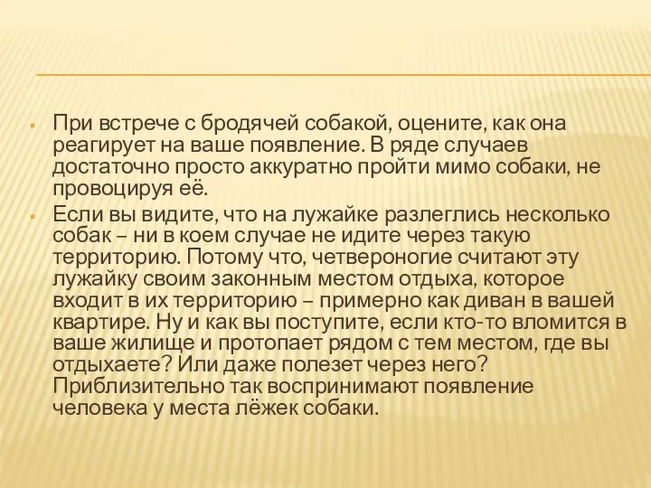 При встрече с бродячей собакой, оцените, как она реагирует на ваше