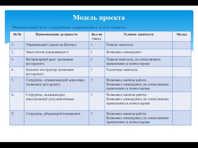 Минимальный штат сотрудников, содержащийся за счет бюджета. Модель проекта