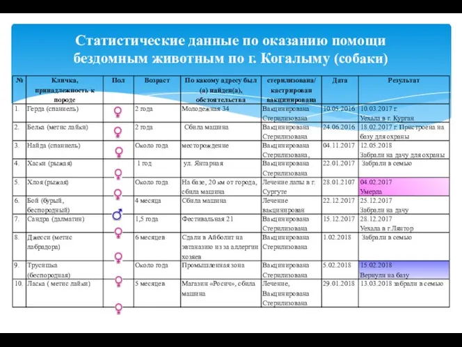 Статистические данные по оказанию помощи бездомным животным по г. Когалыму (собаки)