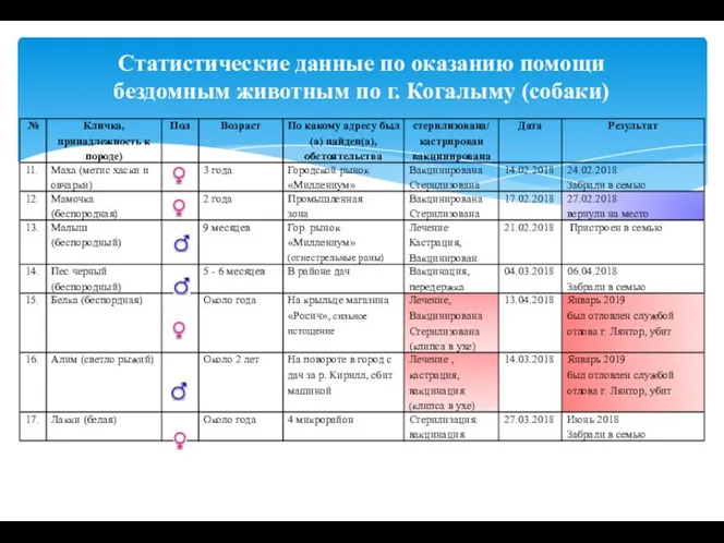 Статистические данные по оказанию помощи бездомным животным по г. Когалыму (собаки)