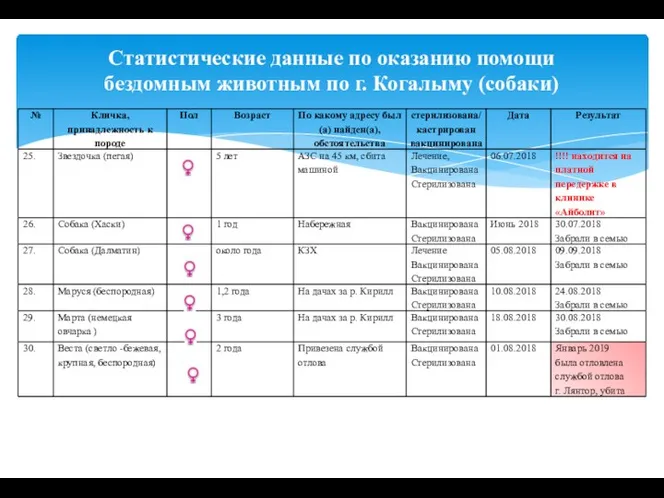 Статистические данные по оказанию помощи бездомным животным по г. Когалыму (собаки)