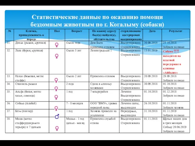 Статистические данные по оказанию помощи бездомным животным по г. Когалыму (собаки)