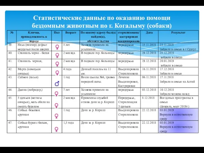 Статистические данные по оказанию помощи бездомным животным по г. Когалыму (собаки)