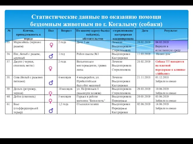 Статистические данные по оказанию помощи бездомным животным по г. Когалыму (собаки)