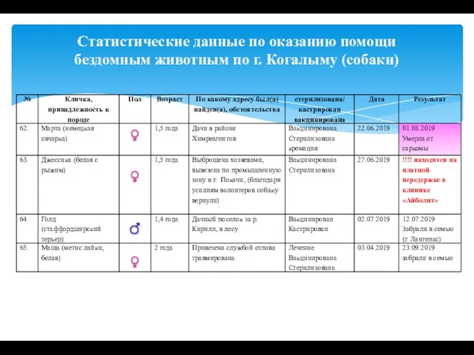 Статистические данные по оказанию помощи бездомным животным по г. Когалыму (собаки)