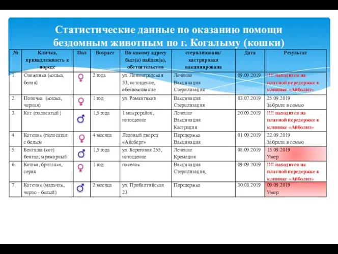 Статистические данные по оказанию помощи бездомным животным по г. Когалыму (кошки)