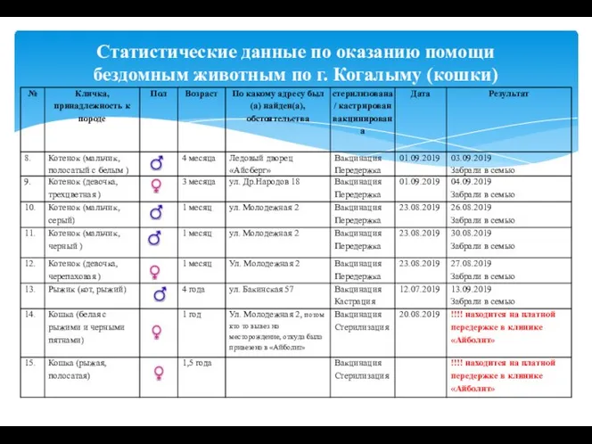 Статистические данные по оказанию помощи бездомным животным по г. Когалыму (кошки)