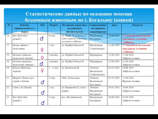 Статистические данные по оказанию помощи бездомным животным по г. Когалыму (кошки)