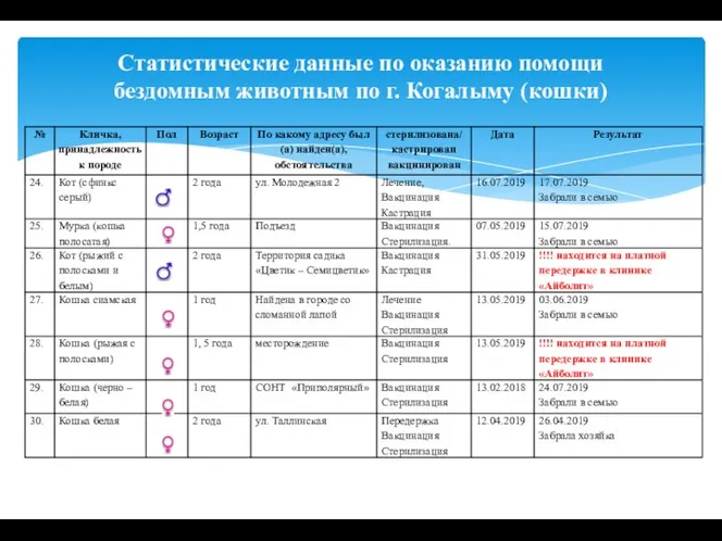 Статистические данные по оказанию помощи бездомным животным по г. Когалыму (кошки)