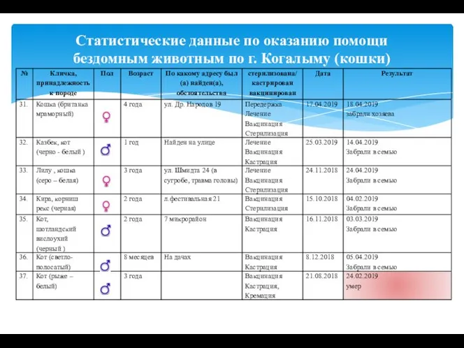 Статистические данные по оказанию помощи бездомным животным по г. Когалыму (кошки)