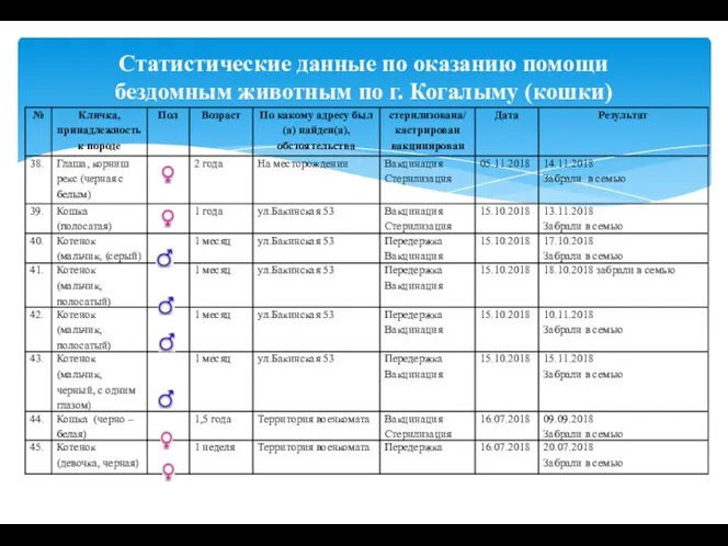 Статистические данные по оказанию помощи бездомным животным по г. Когалыму (кошки)