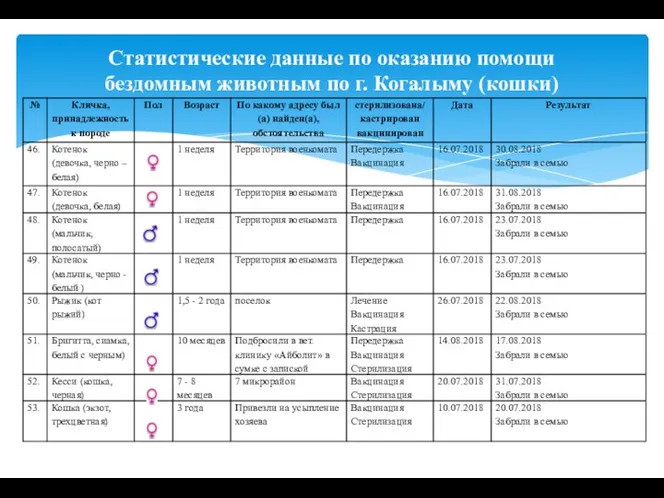 Статистические данные по оказанию помощи бездомным животным по г. Когалыму (кошки)