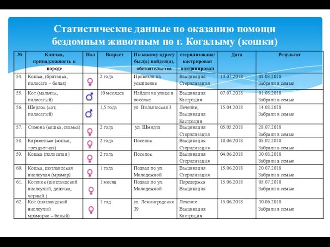 Статистические данные по оказанию помощи бездомным животным по г. Когалыму (кошки)