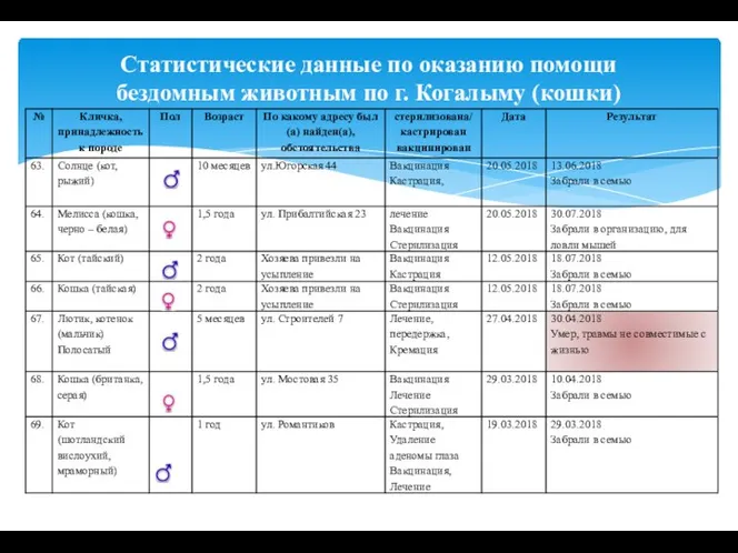 Статистические данные по оказанию помощи бездомным животным по г. Когалыму (кошки)