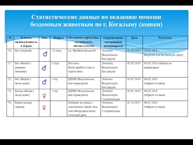 Статистические данные по оказанию помощи бездомным животным по г. Когалыму (кошки)