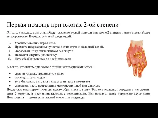 Первая помощь при ожогах 2-ой степени От того, насколько грамотным будет