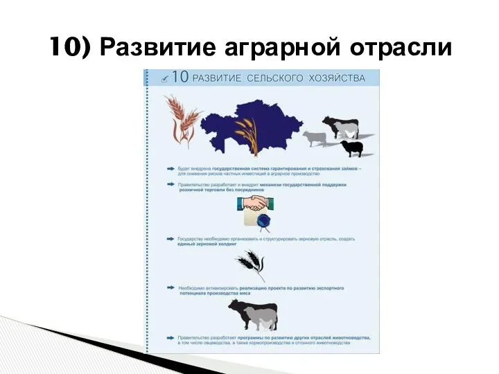 10) Развитие аграрной отрасли