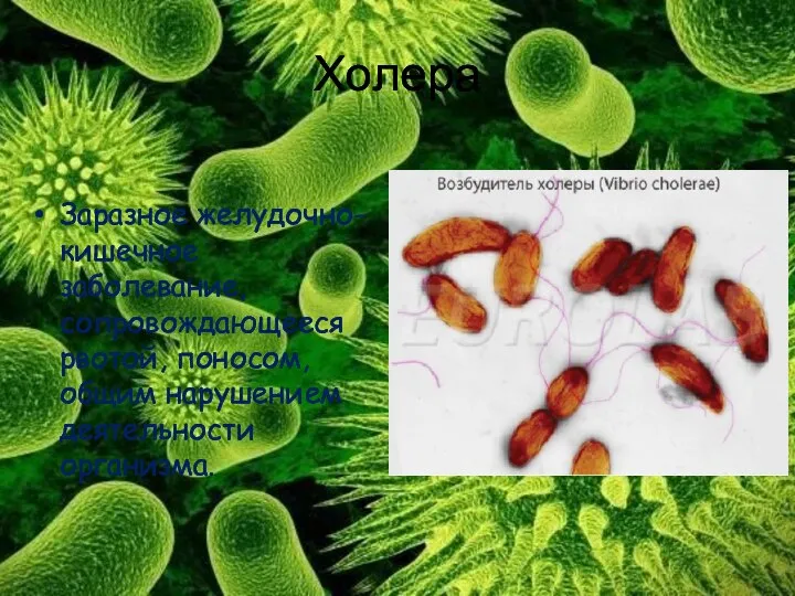Холера Заразное желудочно-кишечное заболевание, сопровождающееся рвотой, поносом, общим нарушением деятельности организма.