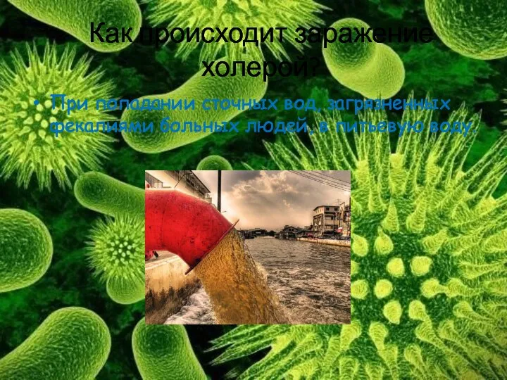 Как происходит заражение холерой? При попадании сточных вод, загрязненных фекалиями больных людей, в питьевую воду.