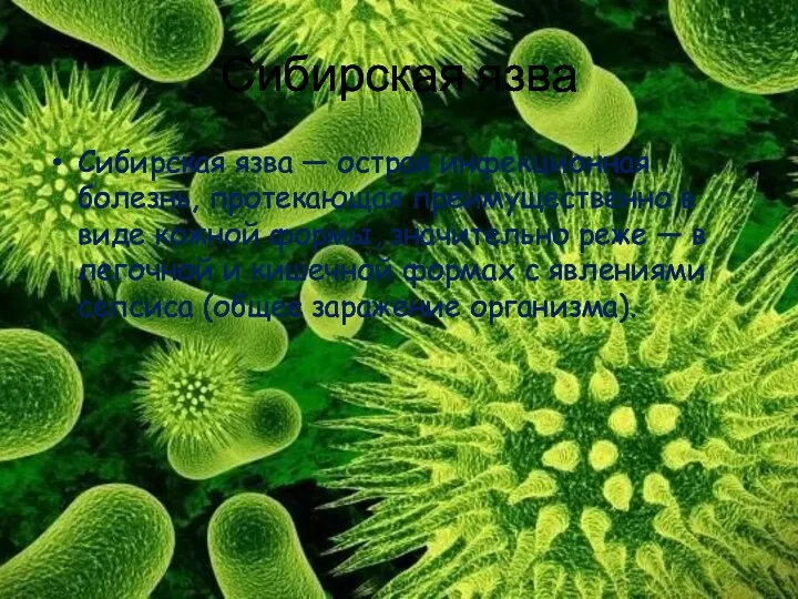 Сибирская язва Сибирская язва — острая инфекционная болезнь, протекающая преимущественно в