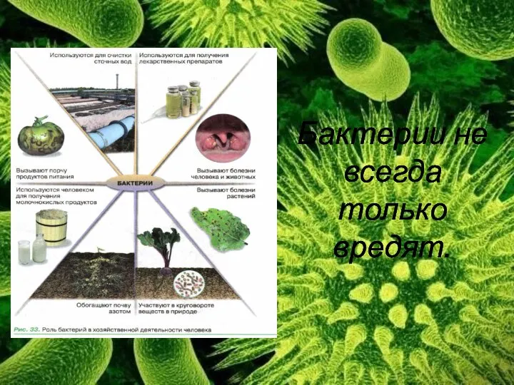 Бактерии не всегда только вредят.