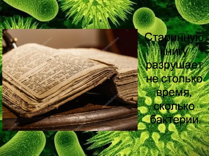 Старинную книгу разрушает не столько время, сколько бактерии