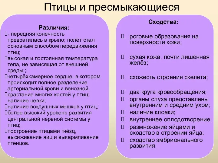 Птицы и пресмыкающиеся