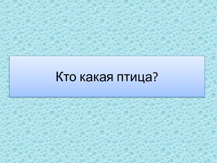 Кто какая птица?