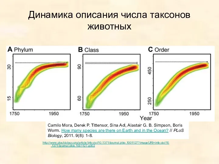 Динамика описания числа таксонов животных http://www.plosbiology.org/article/info:doi/10.1371/journal.pbio.1001127?imageURI=info:doi/10.1371/journal.pbio.1001127.g002 Camilo Mora, Derek P. Tittensor,